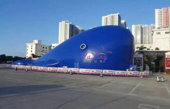 大鲸鱼海洋球乐园